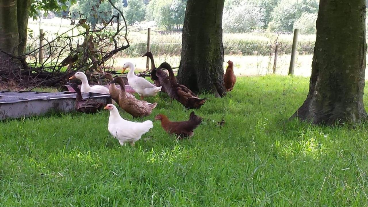 Stybeck Farm Villa Thirlmere Luaran gambar
